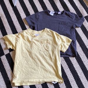 Zara Tshirt Bundle 2-3 years